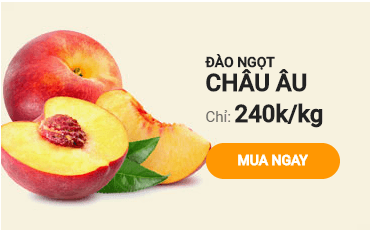 Sản phẩm mới về